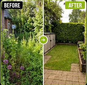 Before and after: an overgrown border tidied into a neat patio garden